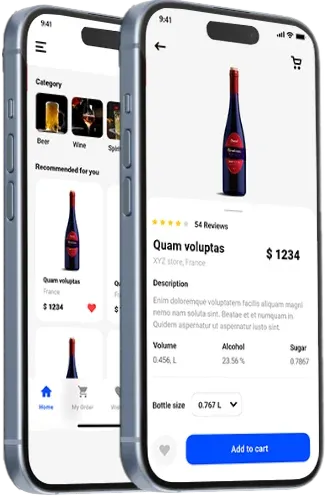 Mobile App Interface